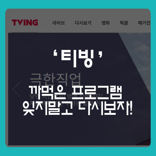 tvn 다시보기 무료로 시청하기!