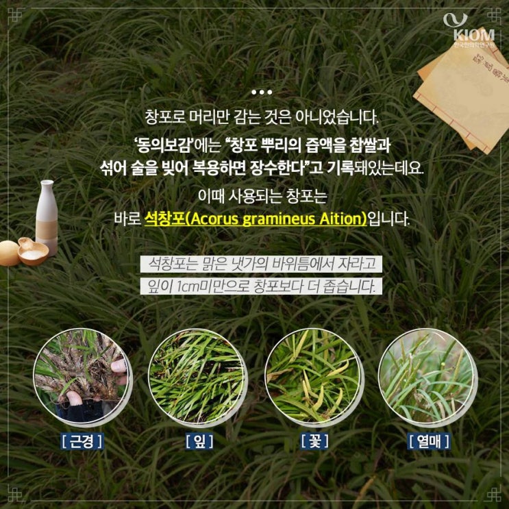  왜 단옷날 창포물에 머리를 감았을까?(3)
