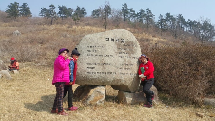 완도 약산도 삼문산ᆞ보해매실농원-3월산악회