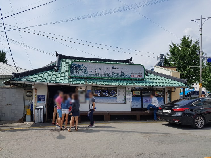  평창 봉평면/봉평장 '현대막국수' 막국수