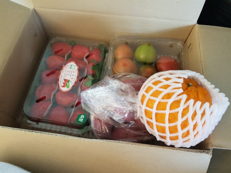  맛있는과일 새벽배송 :: 신선한과일이 집앞까지!