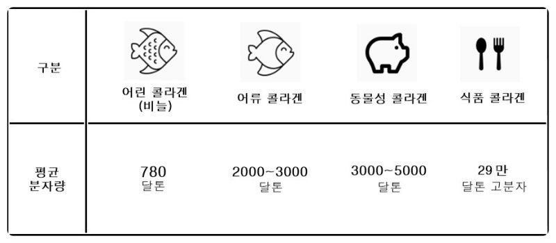 콜라겐 달튼, 분자 크기를 알아라!