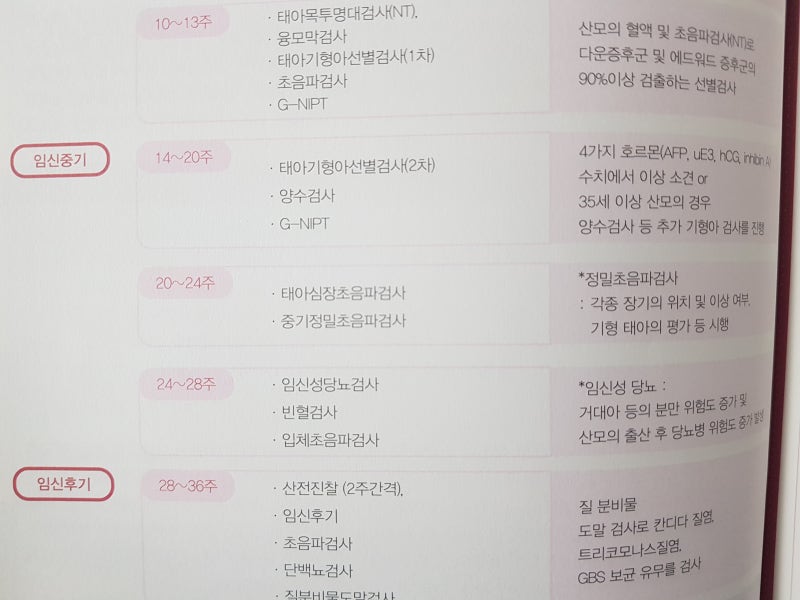 23w6d. 임신 24주 임산부 임당검사 결과는요? / 임신당뇨 검사 / 빈혈 철분제 처방