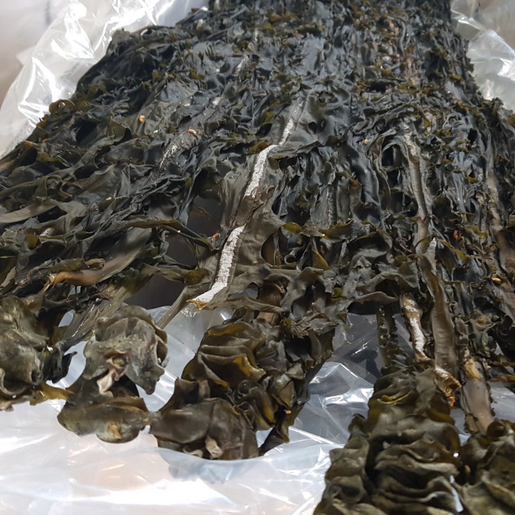  [자연산미역/곱창김]가거도,만재도 자연삼 산모미역,선물용 돌미역으로 건강지키세요