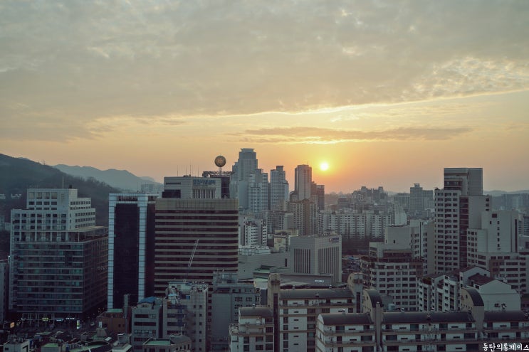  호텔페이토 강남, 주말 양재호텔 호캉스 :)