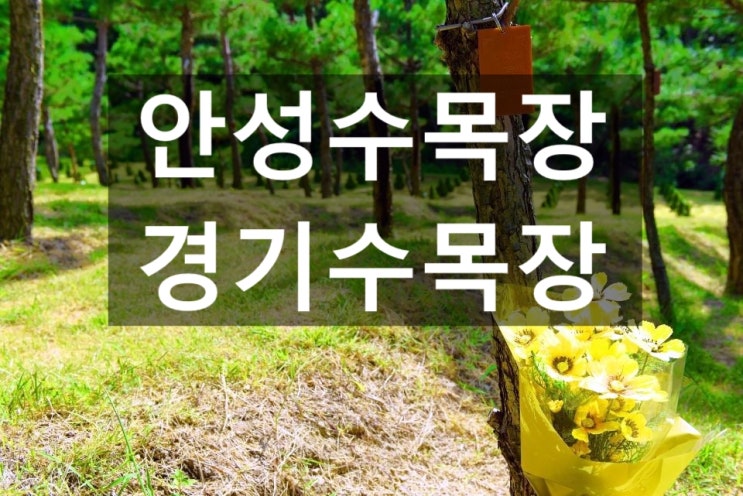  안성수목장 정원형태의 수목장이 너무이쁘내요~