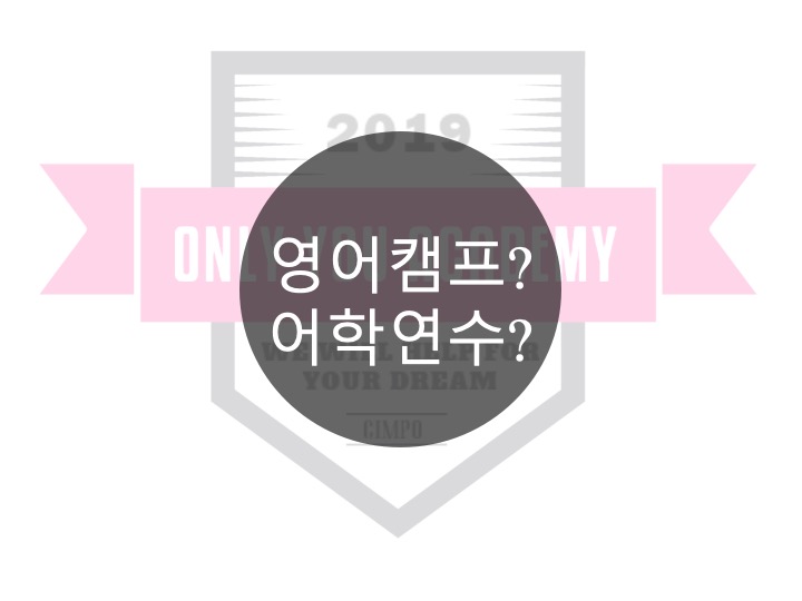  초등학교 아이들 방학에 영어캠프나 어학연수 필요한가요?