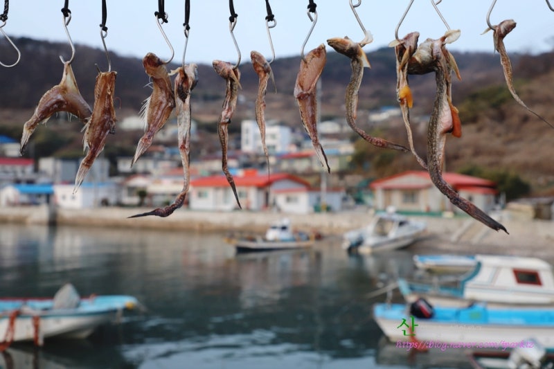 풍도 여행 정보. 여객선 예매 시간 민박 식사 : 네이버 블로그
