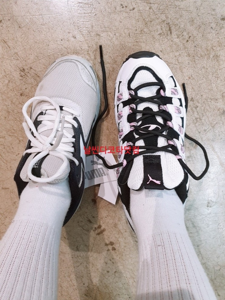  **JD스포츠에서 퓨마 어글리슈즈&나이키 줌k2 샀어요**
