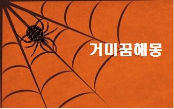  거미꿈해몽 거미한테 물린 꿈 풀이 