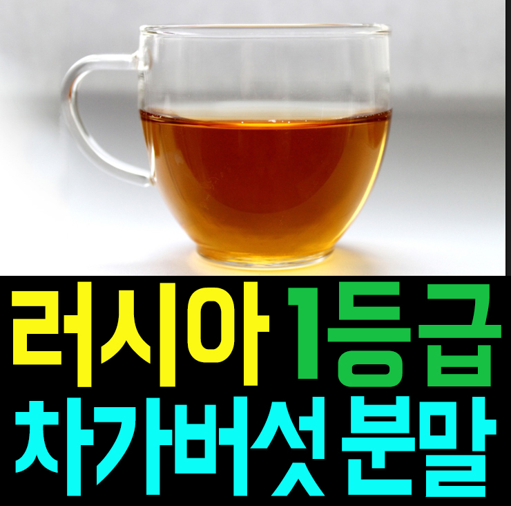  러시아 차가버섯분말 가격 차가버섯차 먹는법