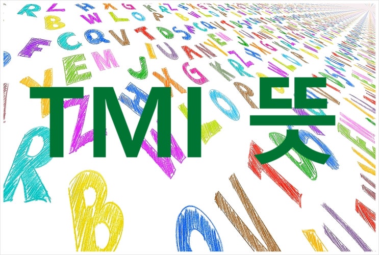  TMI 뜻