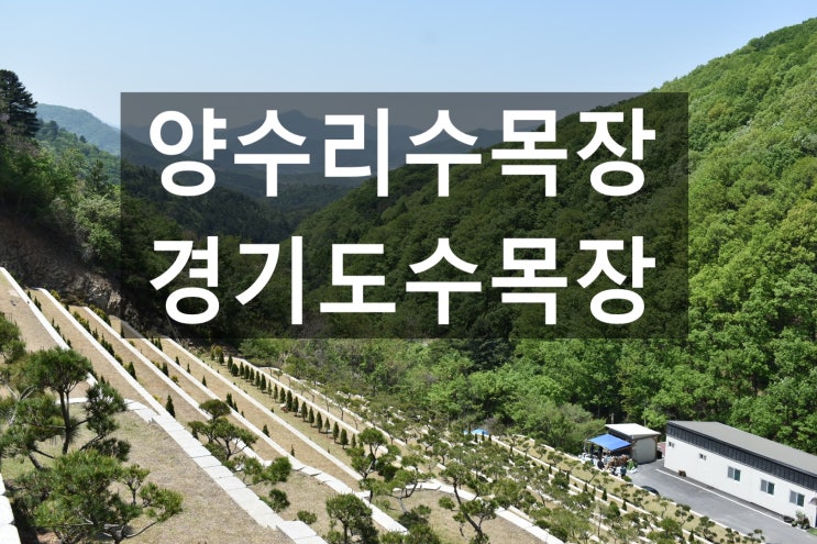  양수리수목장 가깝고 전망좋은 수목장 ~
