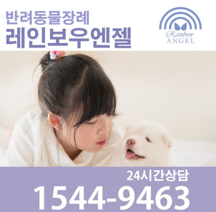  분당 성남  용인 애완견장례 애견화장터는 반려동물장례식장 만족도 1위 레인보우엔젤 광주지점에서!!