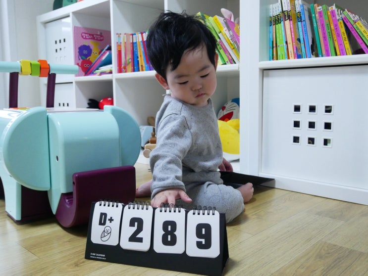  +289) 문센데이! 인디안~
