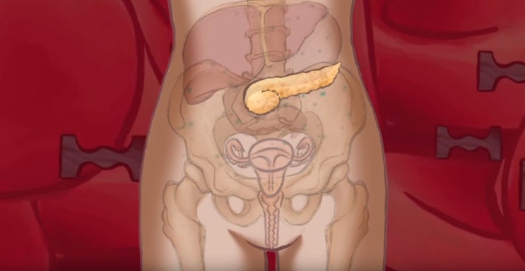  이노시톨 효능 및 부작용