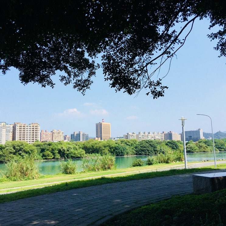  대만 워킹홀리데이 40DAY / 진펑루쭈로판, 동네빵집, 강가 河邊, 공원에서 누워있기, 대만 타이페이 지진