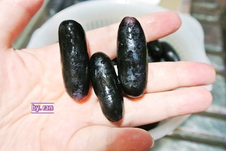  가지포도 라고 불리는 블랙 사파이어 포도 먹어봤어요 :)