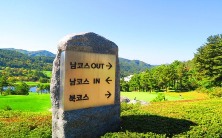  횡성 웰리힐리cc 파크 컨트리클럽 골프앤리조트