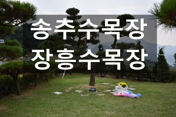  송추수목장&장흥수목장 모실 자리가 있나요?