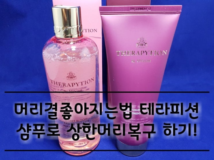 머리결좋아지는법 테라피션 샴푸로 상한머리복구 하기. 머리결좋아지는법 테라피션 샴푸로 상한머리복구 하기.