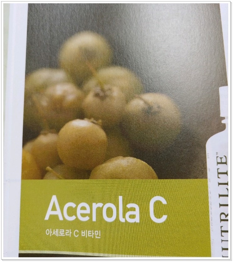  항산화 영양소 비타민 C 암웨이 뉴트리라이트 아세로라C 챙겨 먹는 중~