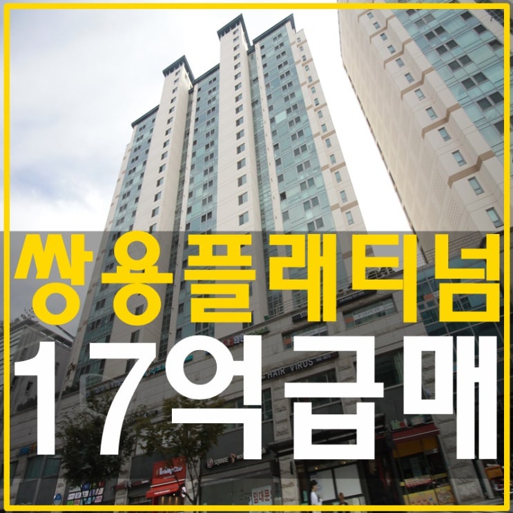  홍진영집 삼성쌍용플래티넘 급매가 나왔어요