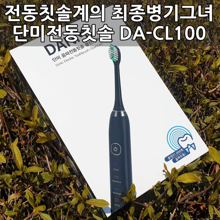 단미 휴대용 음파 전동칫솔 DA-CL100 사용후기 - Danmi Portable Electric Toothbrush da-cl100 Review