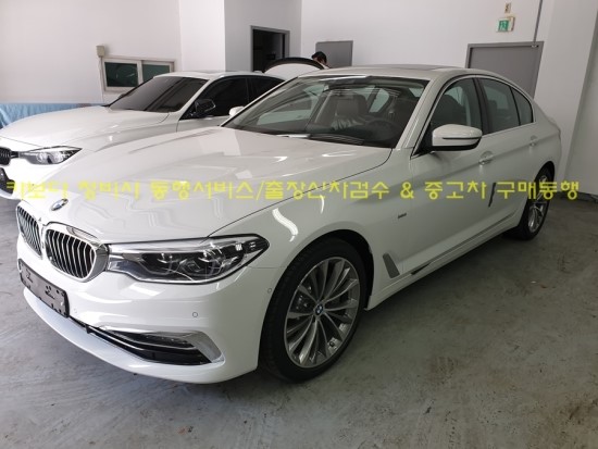  카보다-BMW 540I xDrive  정비사동행 출장 신차검수 대행 업체 후기
