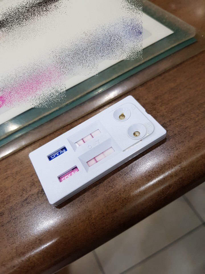  아기 강아지 코로나, 파보 감염 증상과 치료