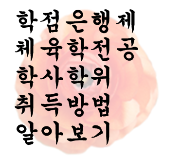  학점은행제 체육학전공 학사학위취득방법 알아보기