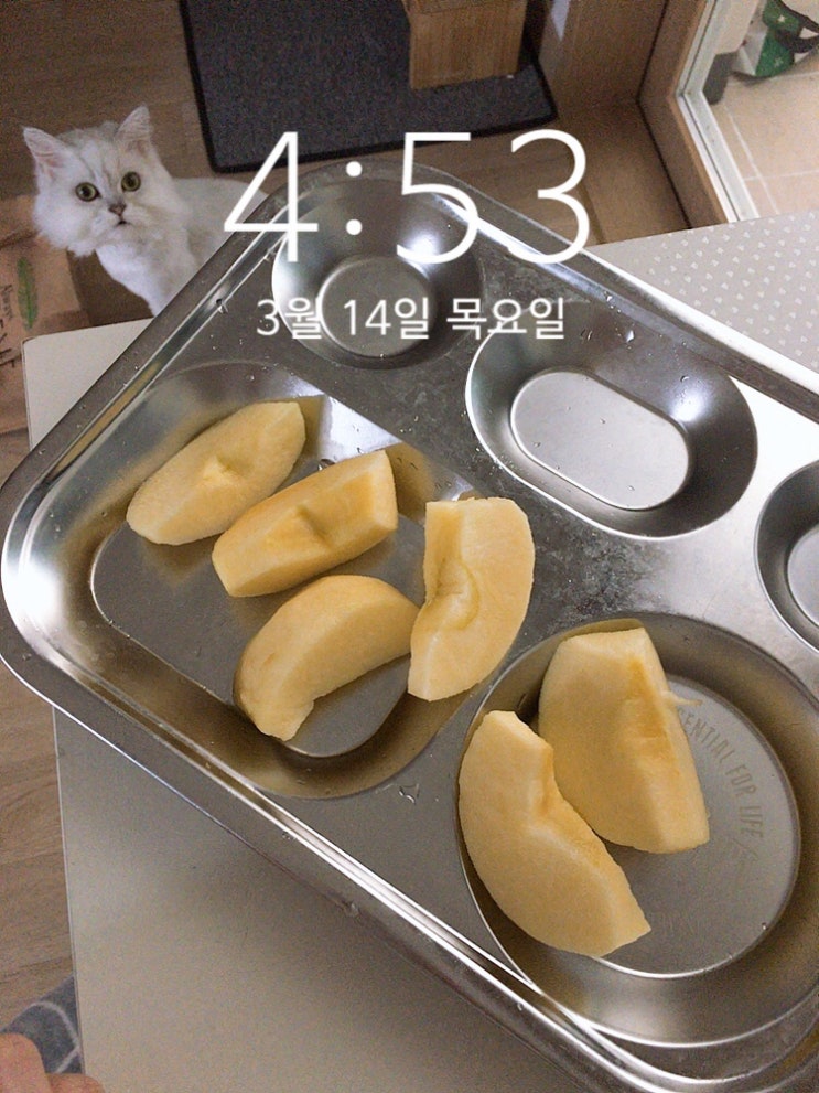  2019.03.14 니 뭐 뭇노