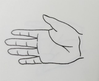  관상학, 생명선이 두 줄로 갈라진 손금의 해석.? 사주성명학 토제연구소.