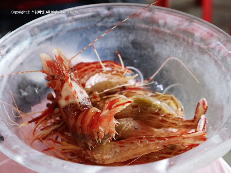  속초 포장마차거리 연애의맛 김보미 고주원 커플도 다녀간곳~ 닭새우 맛나다