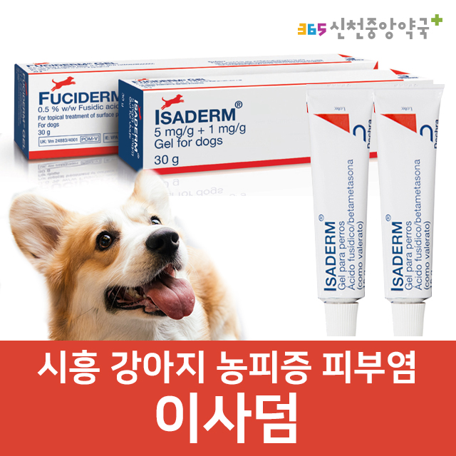 '이사덤' 강아지 피부염 농피증 이사덤연고 (시흥동물약국 강아지피부병 후시딘 농피증 연고추천 시흥약국) '이사덤' 강아지 피부염 농피증 이사덤연고 (시흥동물약국 강아지피부병 후시딘 농피증 연고추천 시흥약국)