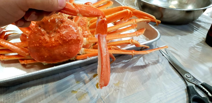  [울진, 후포항] 대게 feat. 양희식당