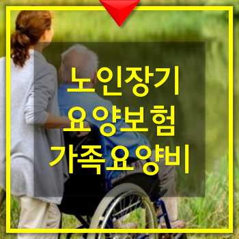  노인장기요양보험 가족 요양비