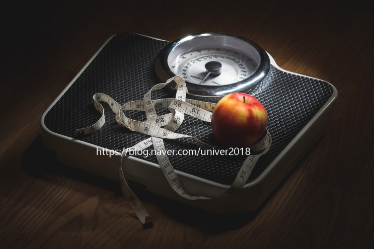  식생활과 식습관-4.물만 먹어도 살이 찌는 물살? 또 감미료는?