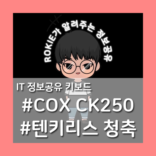 [보급형 기계식 키보드 리뷰] COX CK250 텐키리스 청축 키보드