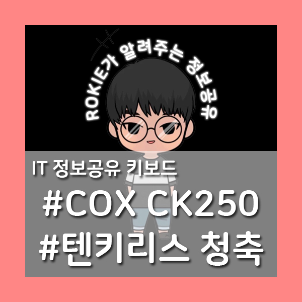  [보급형 기계식 키보드 리뷰] COX CK250 텐키리스 청축 키보드