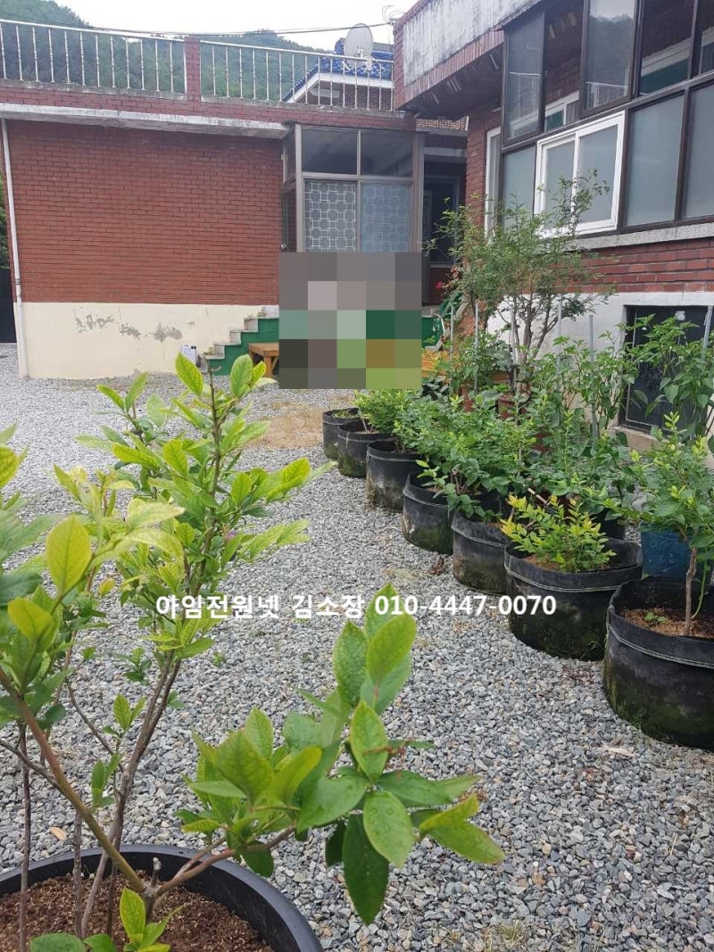 대구근교 가창 용계리 아파트 임대월세 가창 김소장 아임전원넷아임부동산 1