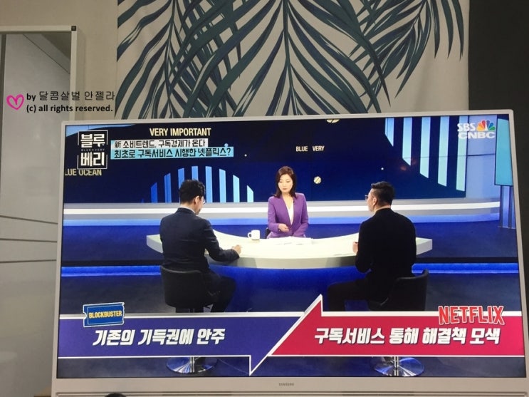  쉽게 듣는 경제시사이슈, 임윤선의 블루베리