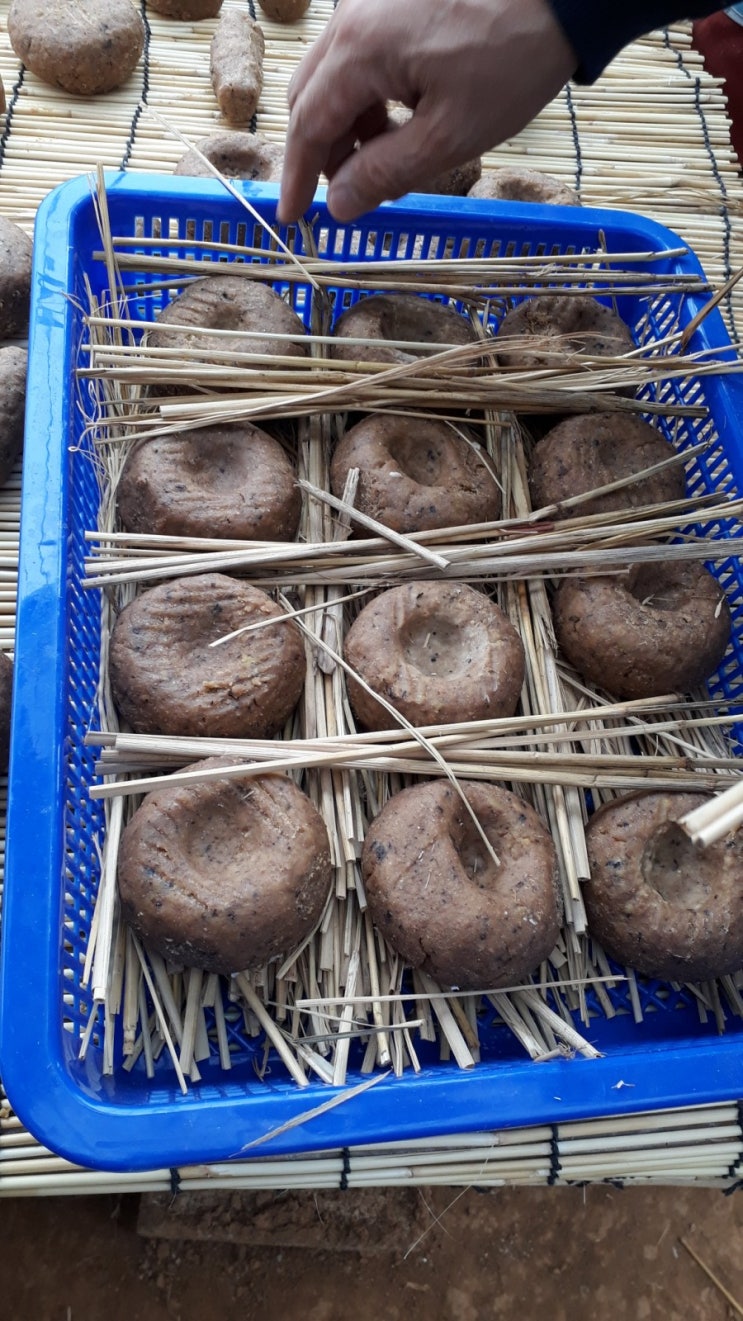  서리태 메주 만들기 토종밀 메주 만들기 찰보리 메주 밀쌀  메주 백태 메주만들기 하루종일 된장 간장 장독대 촉진자  남원 정철기샘 모시고 고문헌 메주 재현~~~궁중어육장 팥장