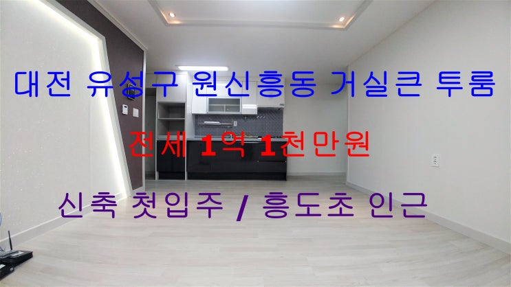  대전유성구원신흥동신축첫입주거실큰투룸전세(흥도초인근)