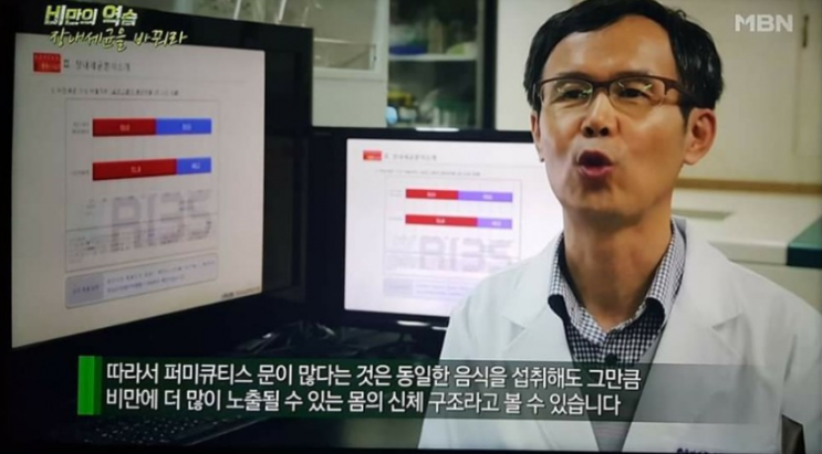  락토바실러스 가세리 bnr 17 MBN 비만의역습 - 장내세균을 바꿔라