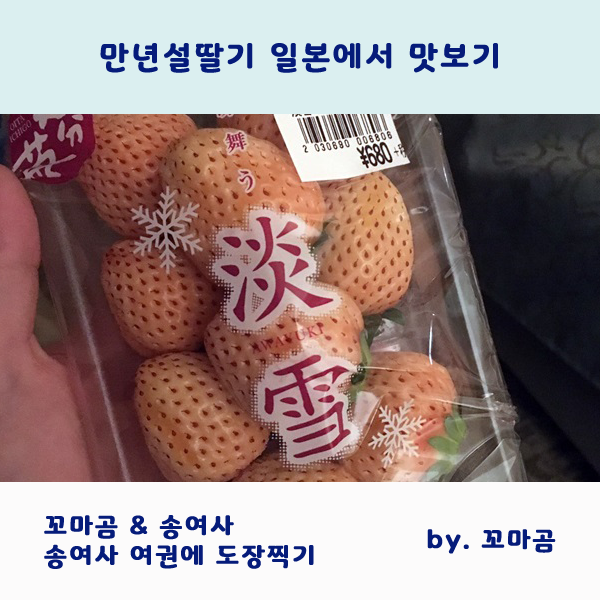  모녀여행, 만년설딸기 일본에서 맛보고 왔지용