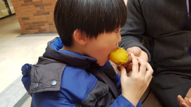  따뜻한 군고구마
