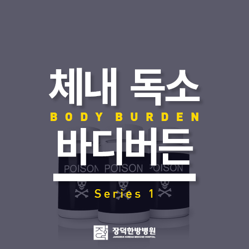  환경호르몬 바디버든Body burden을 아시나요?(1)