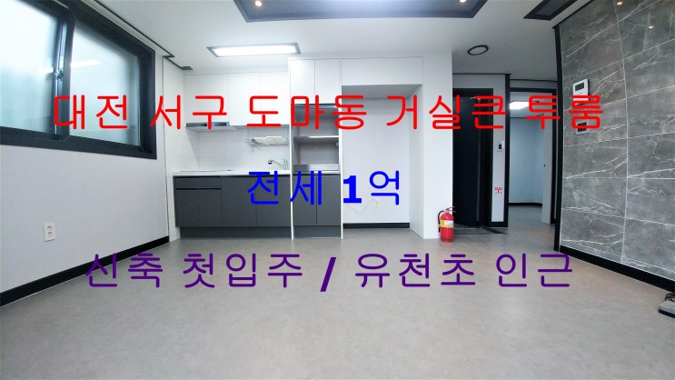 대전서구도마동신축첫입주거실큰투룸전세(유천초인근)