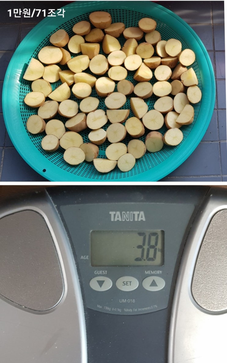  19년 감자모종 구입 (3.8kg/1만원)